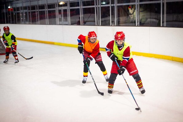 L'Orléans Loiret Hockey sur Glace