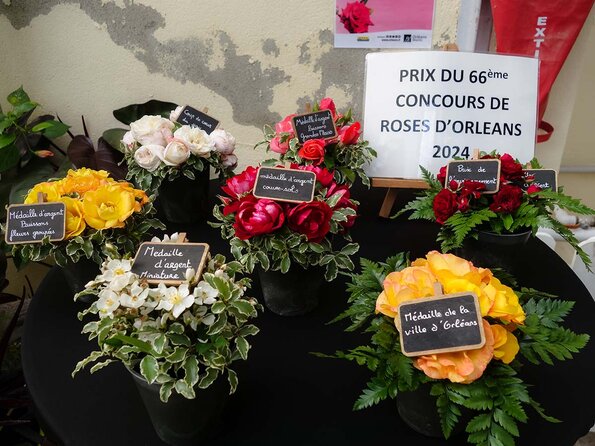 Nuances de Roses