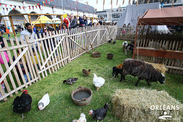 fêtes de Jeanne d'Arc - marché médiéval