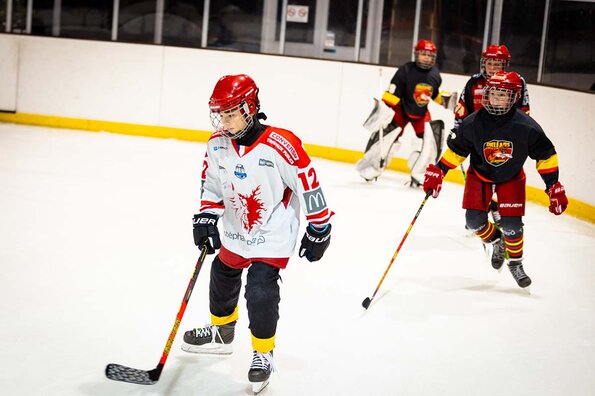 L'Orléans Loiret Hockey sur Glace