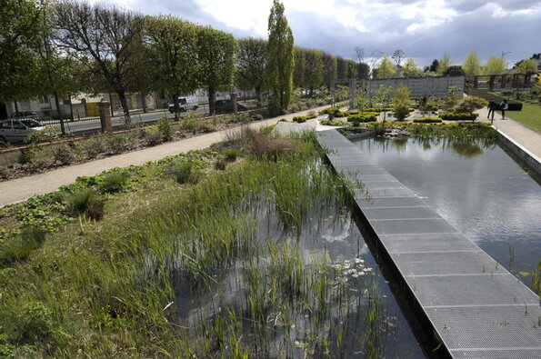jardin des plantes