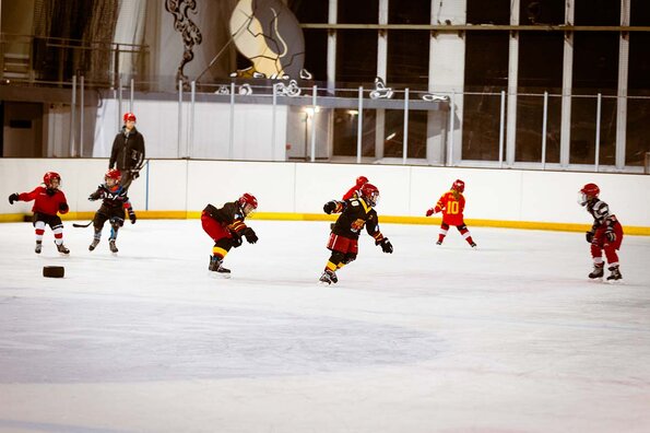 L'Orléans Loiret Hockey sur Glace