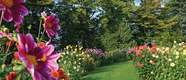 Parc floral