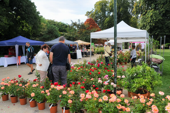 Concours de roses - Nuances de roses Concours de roses - Nuances de roses