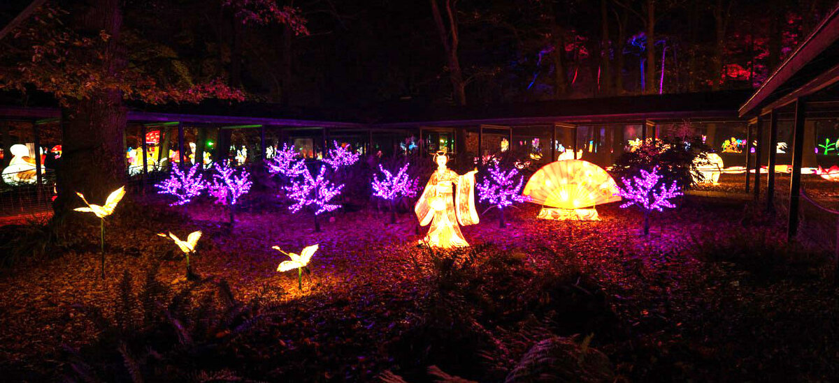 Photo nocturne d’un parcours lumineux montrant dans un parc des installations éclairées : silhouettes d’animaux et de personnages lumineuses, arbres décorés de lumières violettes et structures lumineuses colorées se détachant dans l’obscurité, dans le cadre de l’Odyssée Lumineuse au Parc Floral de la Source à Orléans.
