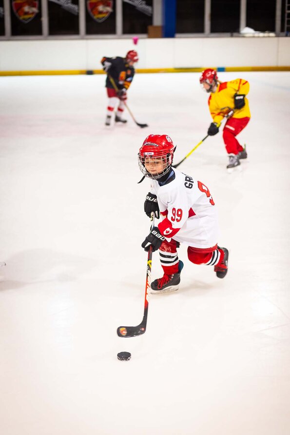 L'Orléans Loiret Hockey sur Glace