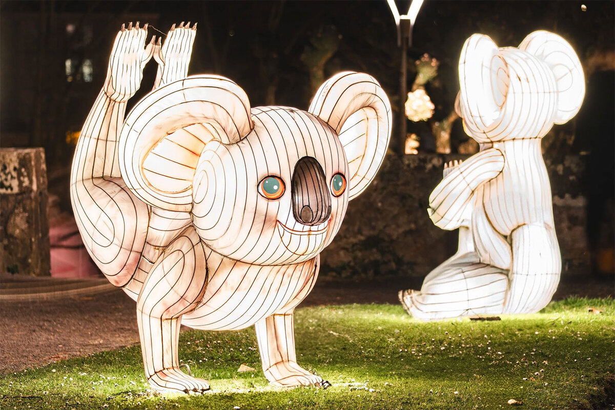nstallation lumineuse nocturne montrant deux grandes sculptures en forme d’animaux stylisés éclairés de l’intérieur. Au premier plan, une figure blanche évoquant un koala ou une créature aux grandes oreilles est posée sur ses pattes avant, les bras levés, avec des lignes sombres dessinant ses contours et des détails colorés autour des yeux. À l’arrière, une autre sculpture lumineuse animalier est visible de dos. L’ensemble se trouve dans un espace extérieur de nuit, dans le cadre de l’exposition d’art lumineux “L’Odyssée Lumineuse” au Parc Floral de la Source à Orléans, avec des éclairages et éléments décoratifs flous en arrière-plan.