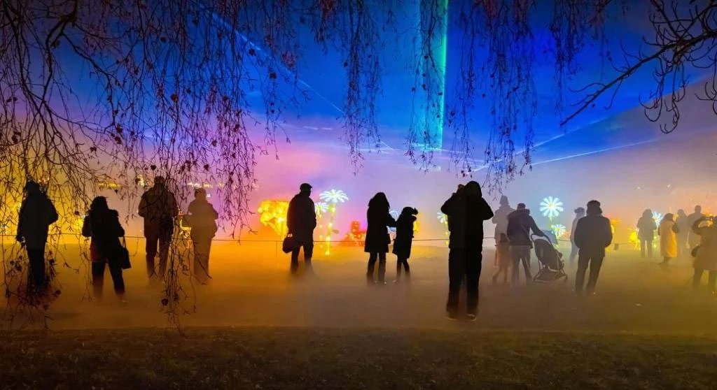Silhouettes de personnes debout dans un grand espace nocturne illuminé lors de l’événement “Odyssée Lumineuse” au Parc Floral de la Source à Orléans : un ciel artificiel aux teintes bleu-violet et orange, des faisceaux de lumière et des structures lumineuses colorées en arrière-plan, avec des arbres et des branches sombres au premier plan et une atmosphère brumeuse féerique autour des visiteurs.