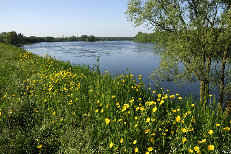 Bords de Loire Bords de Loire