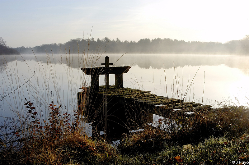 Etang de sologne Etang de sologne