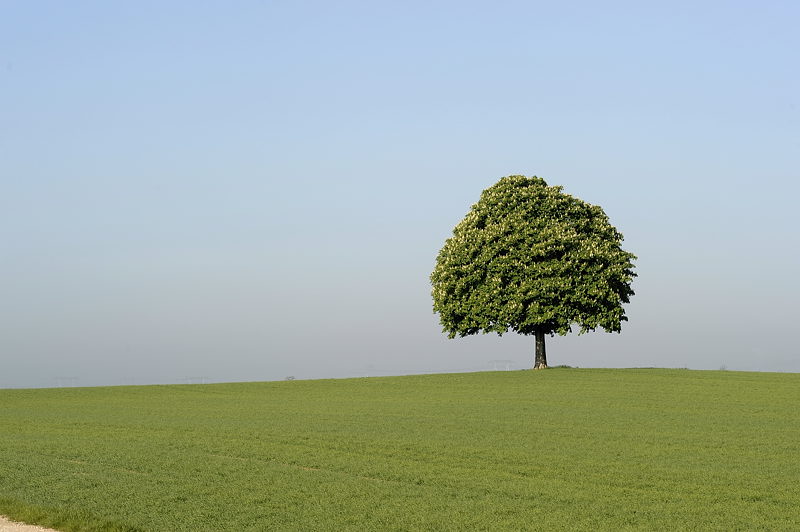La Beauce La Beauce