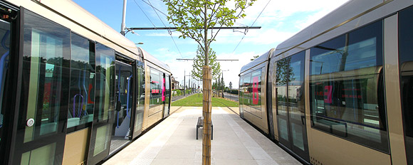 tram bandeau